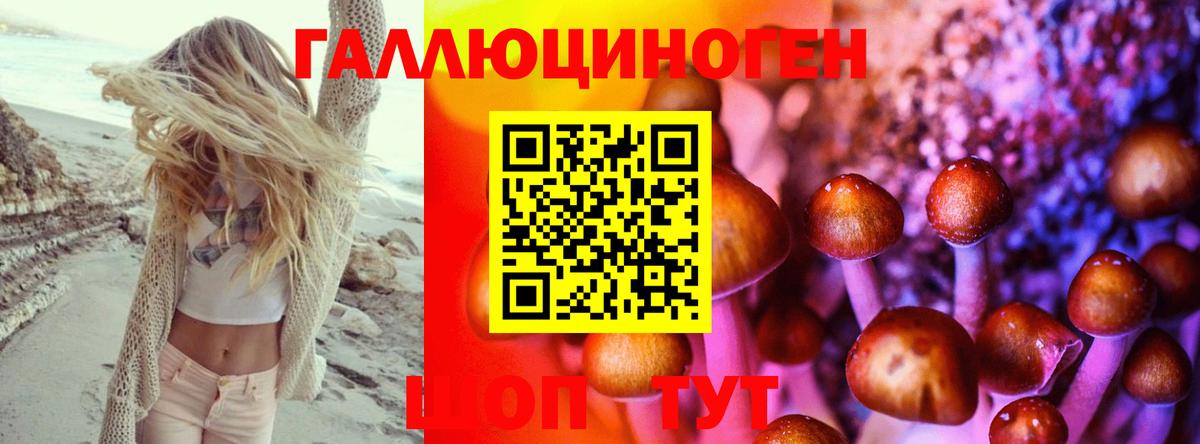 Арсеньев  Псилоцибиновые грибы мухоморы  Псилоцибиновые грибы Psilocybe  Вход с VPN 